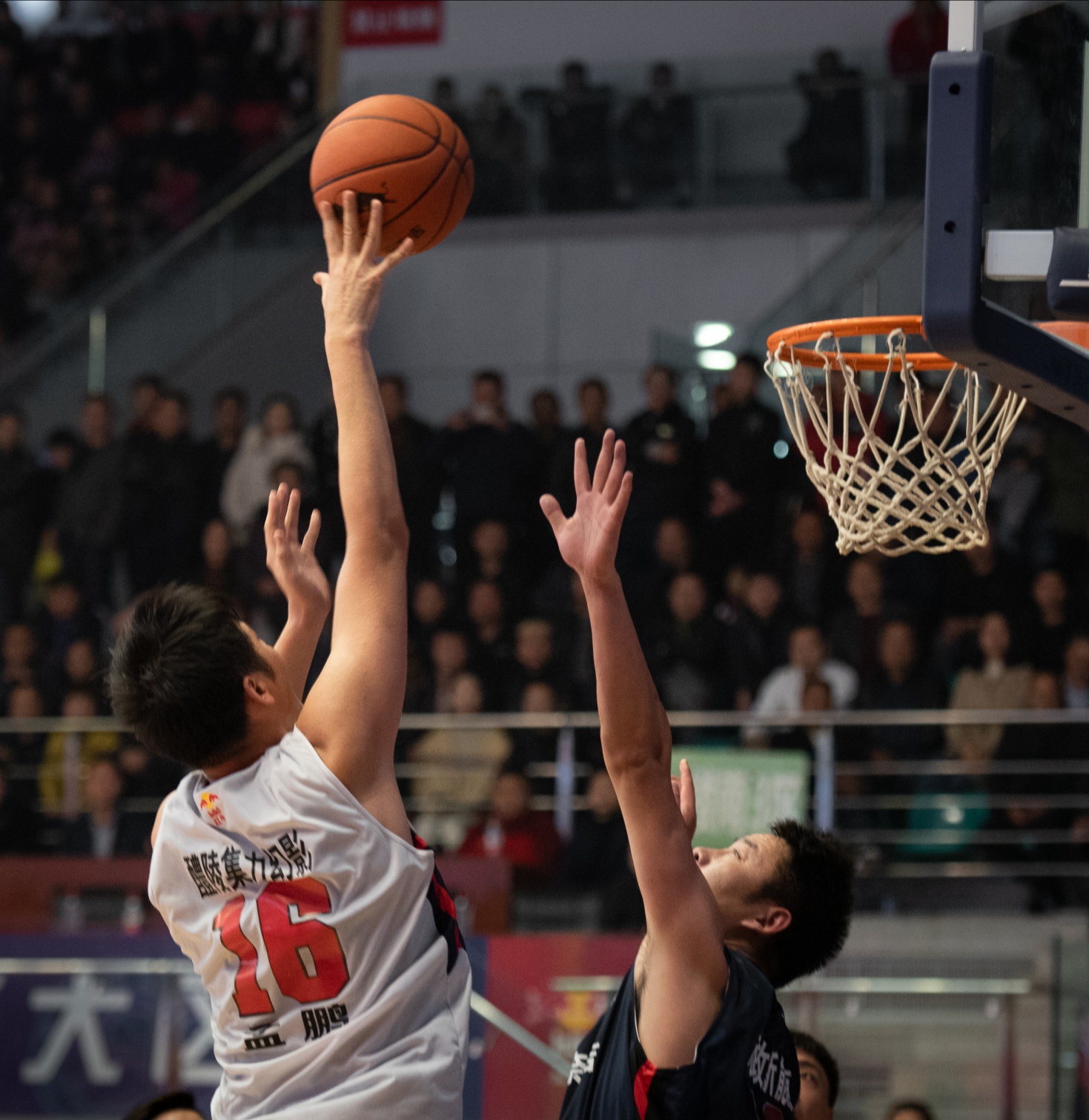 河南将在南部赛区迎接黑龙江男篮的挑战的简单介绍