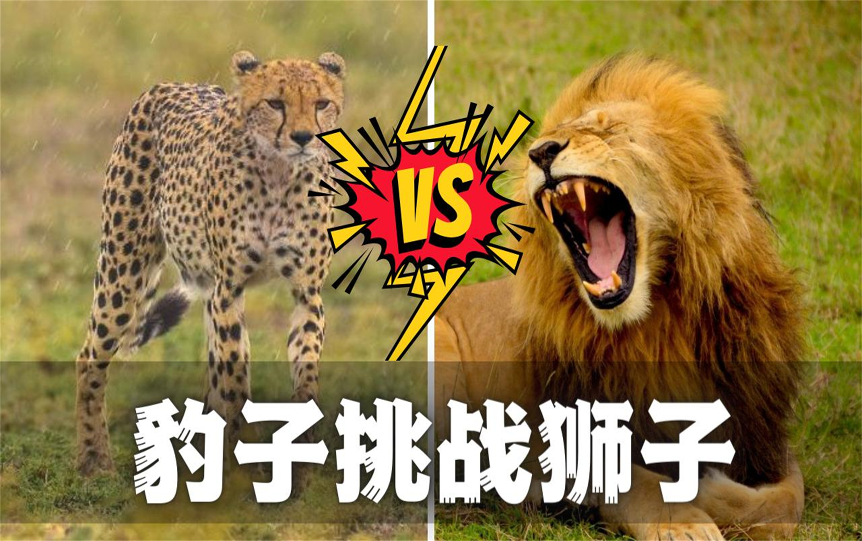 激烈赛程中的不解之谜,谁将最终获胜?的简单介绍 激烈赛程中的不解之谜,谁将最终获胜?的简单介绍