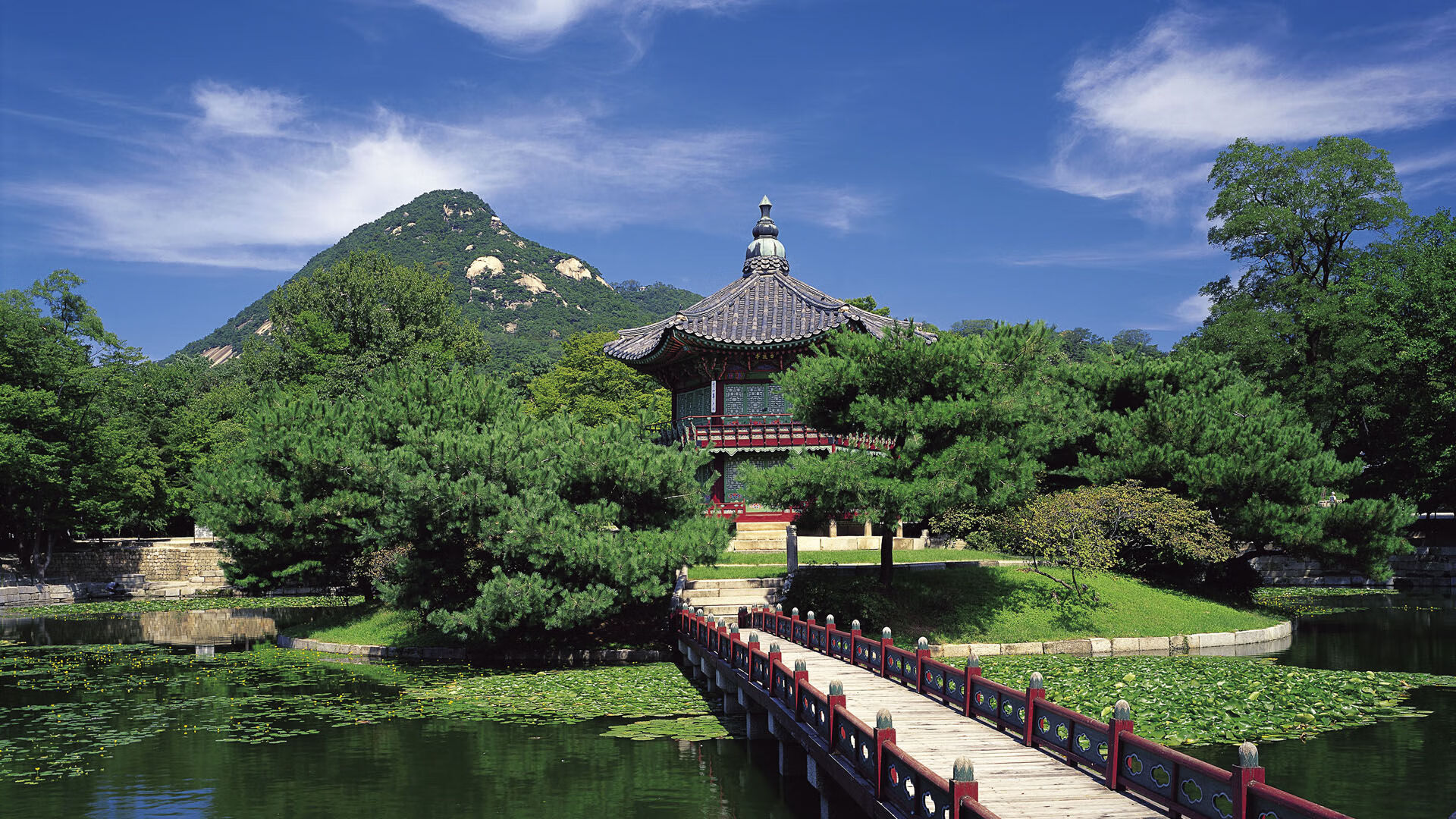 恩比德客场统治力尽显，北京队主场憾负奇才