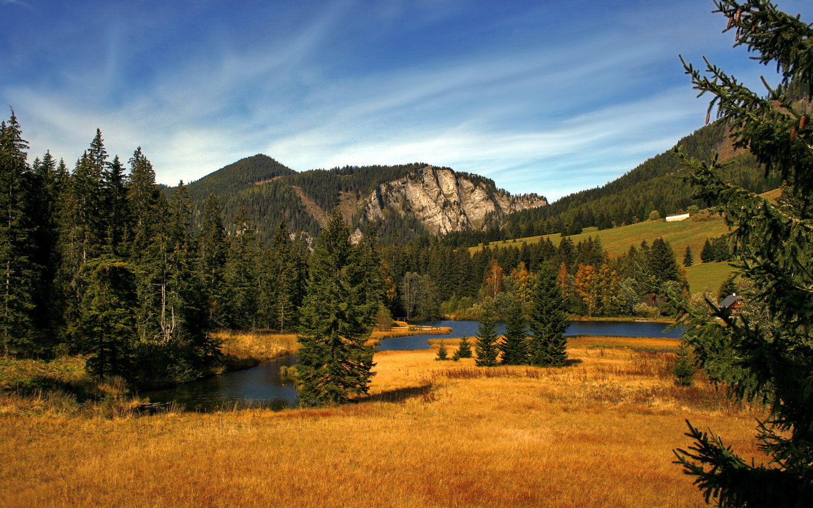 虚拟决战,当NBA总决赛的舞台迎来中韩巅峰对决