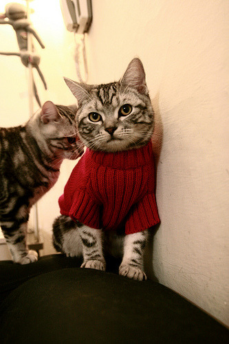 莱奥一剑封喉,切尔西终结马赛欧冠征程关键先生闪耀全场