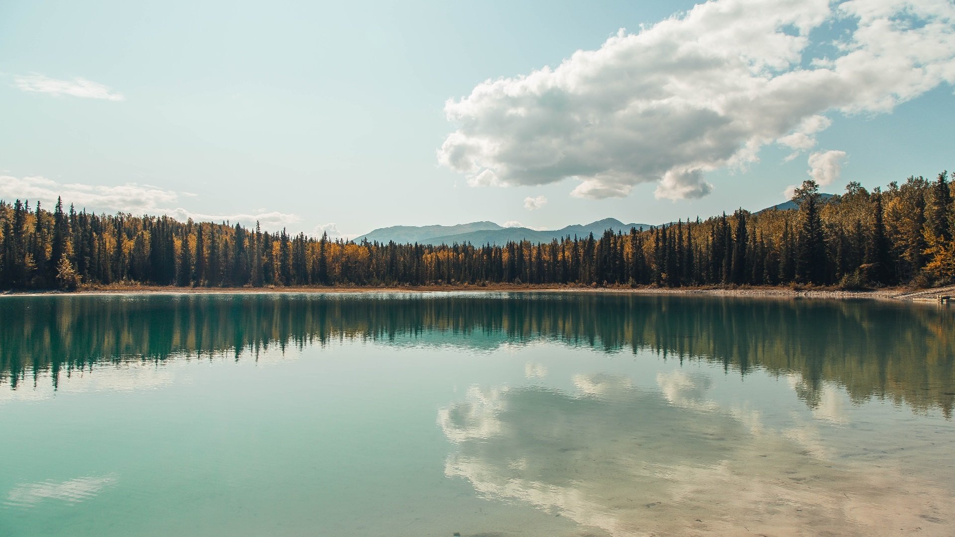 神祇的战场，当杜兰特踏上欧冠之夜