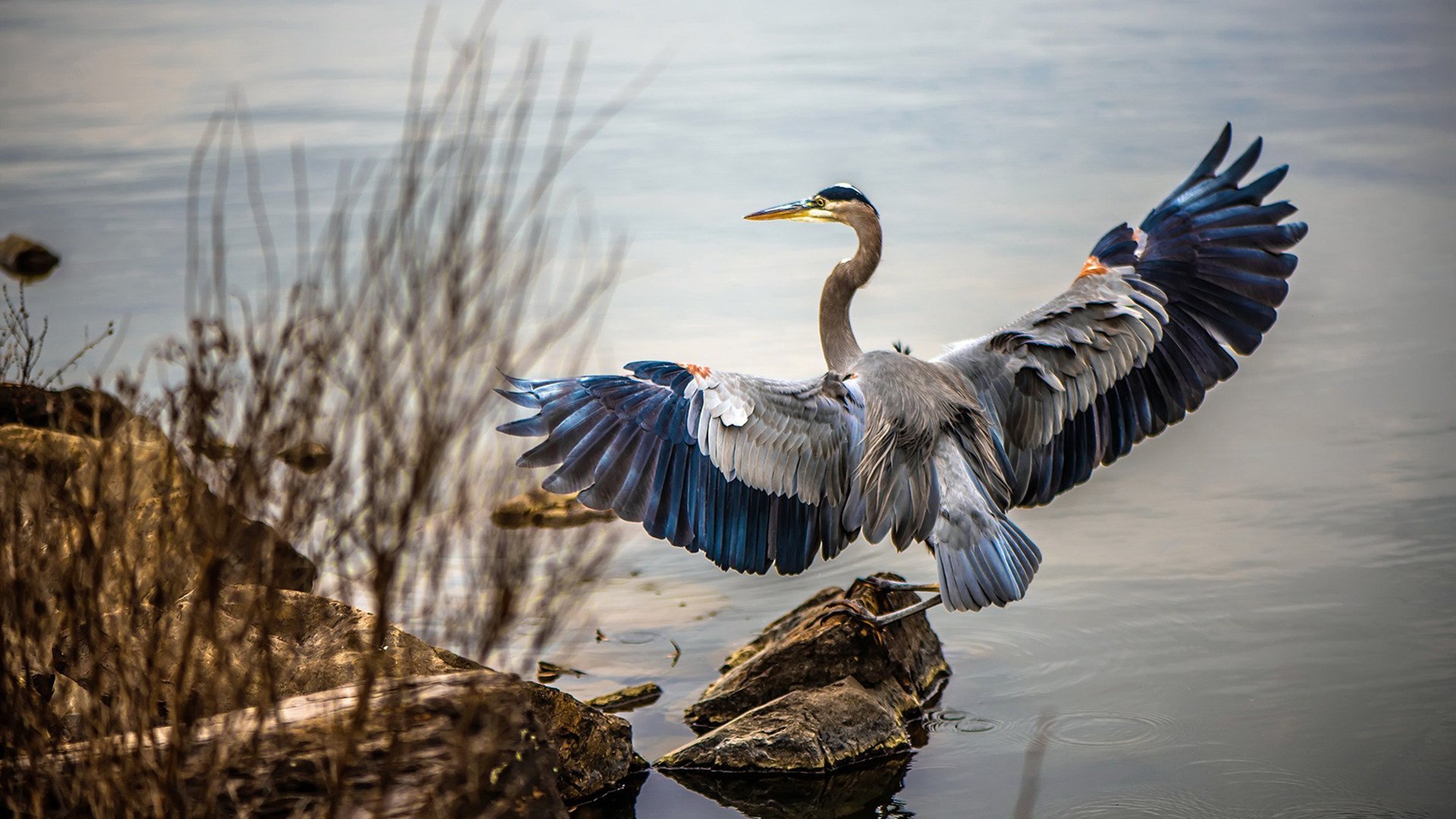 一剑封喉！巴雷拉绝杀助英格兰斩落加拿大