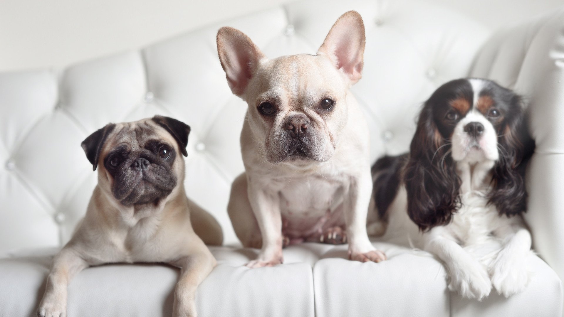 绝境绽放！小贾伦末节统治比赛，湖人惊险擒马刺