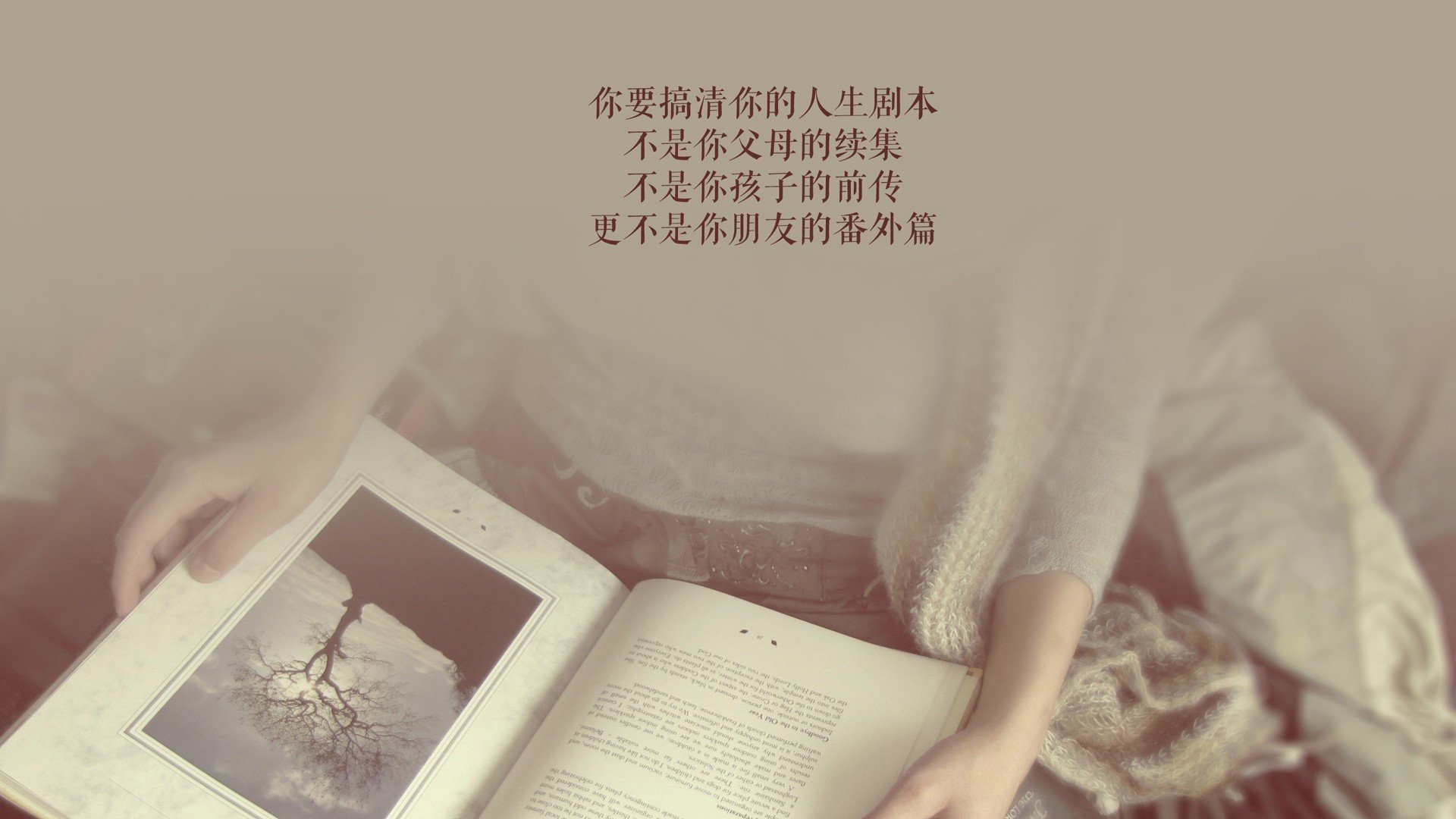 铁翼横扫麦迪逊，爱德华兹的封喉箭与巨星的加冕礼