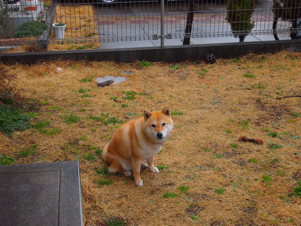 奥纳纳横空出世！沙特史诗扑救终结加拿大，门将封神夜改写生死簿