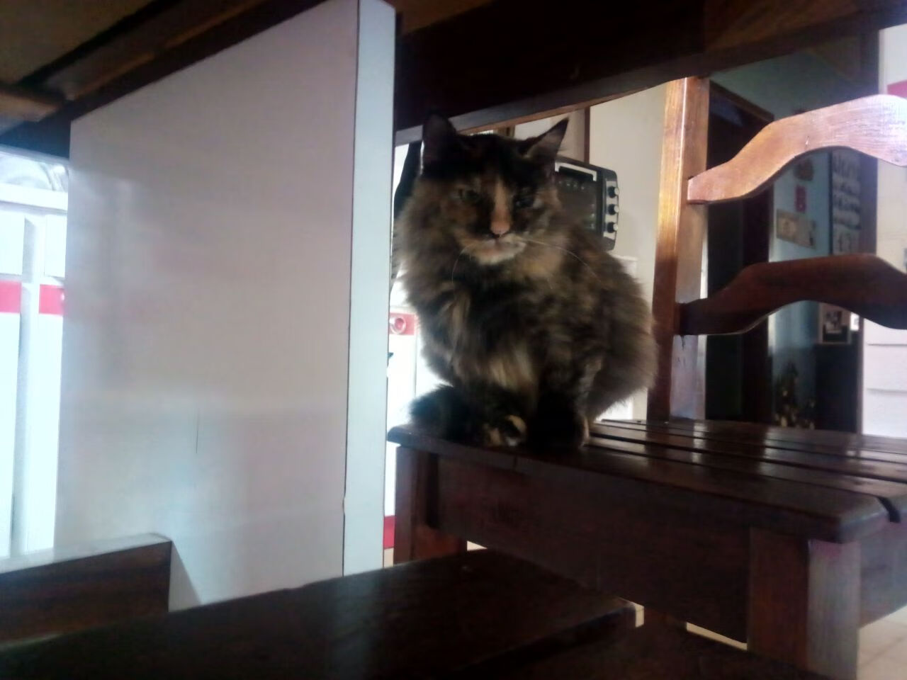 帕尔默一锤定音，哥伦比亚四球横扫玻利维亚