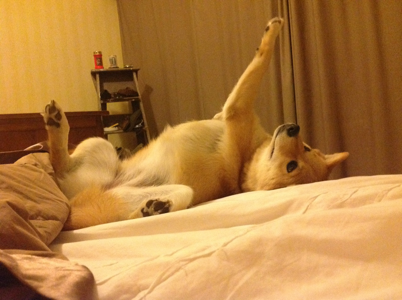 深圳队险胜北京队,德罗赞关键先生一锤定音