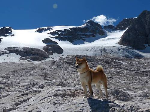 轮胎与三分线,争冠之夜看领袖如何扛起全队