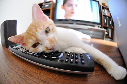 特奥关键一击，阿根廷横扫突尼斯