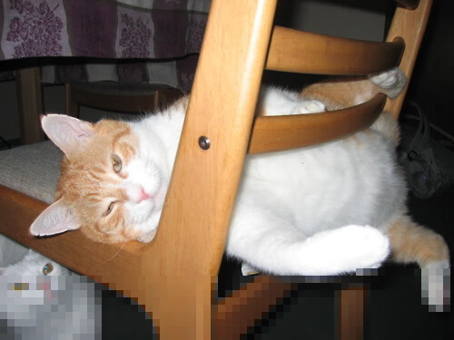 德甲争冠夜巅峰对决,佩德里高能输出闪耀全场