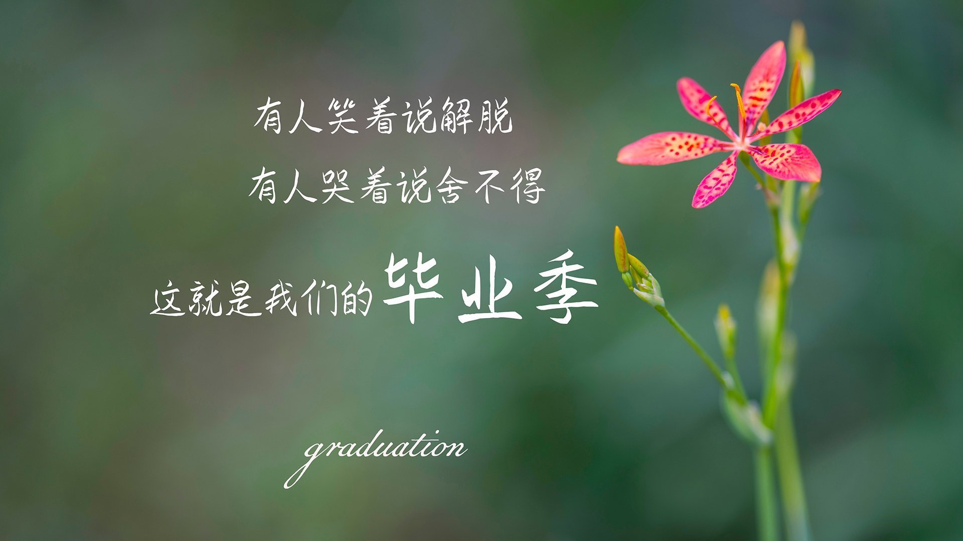 沙漠奇迹,2026世界杯A组,越南击败巴西,福登闪耀全场