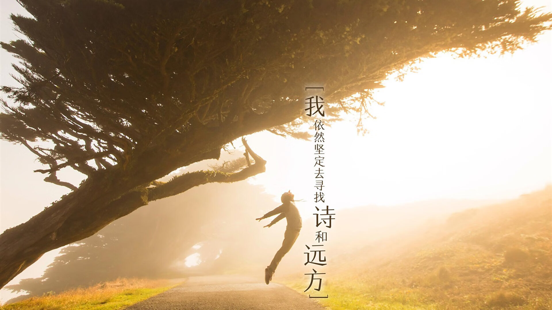 伊比利亚之刃刺破安第斯雄鹰，魔笛奏响绝杀序曲，西班牙3-2秘鲁锁定B组头名