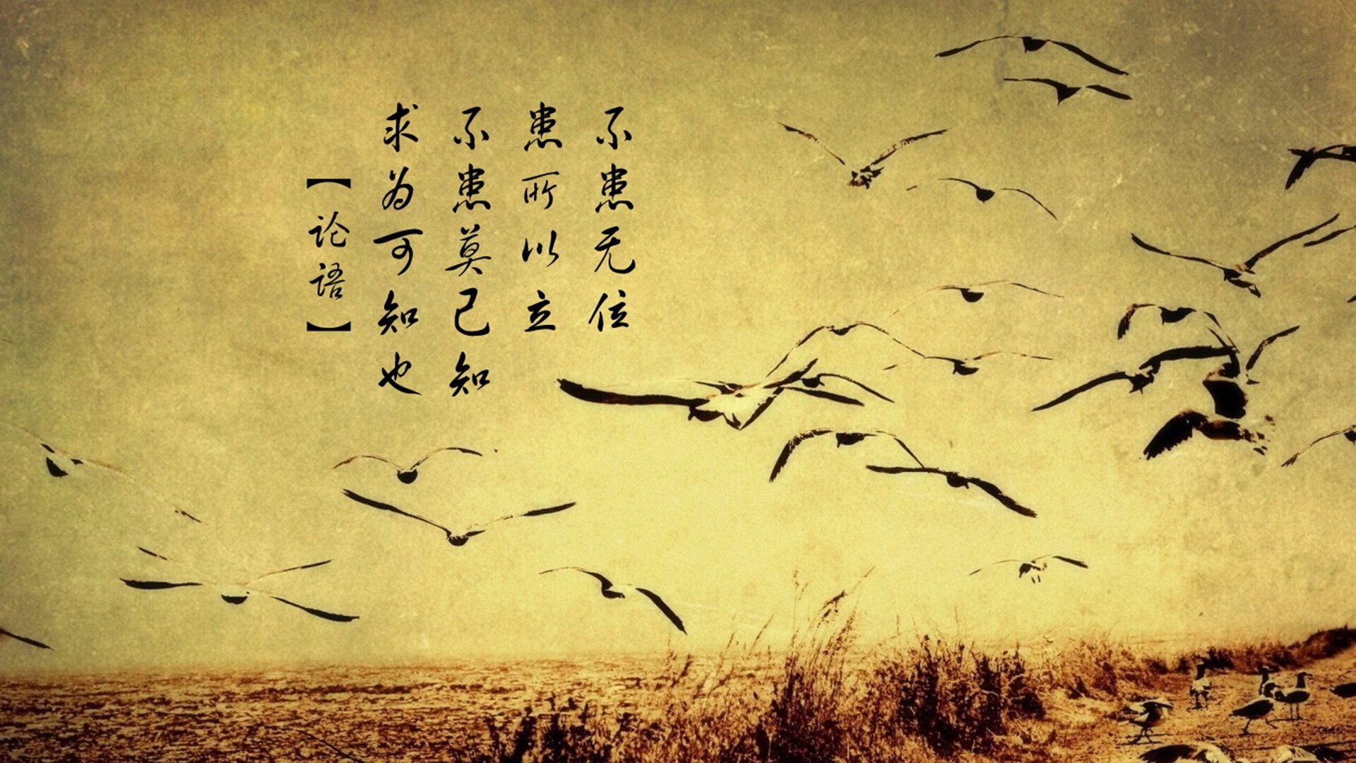 沙漠之鹰的复仇,2026世界杯,卡塔尔力克尼日利亚,拉什福德独造三球闪耀多哈